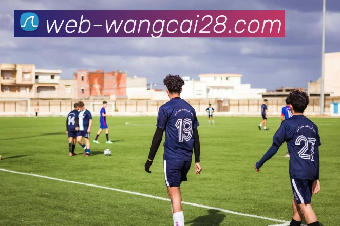 旺财28品牌故事