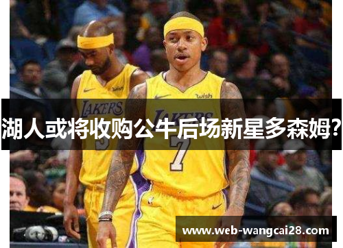 湖人或将收购公牛后场新星多森姆？
